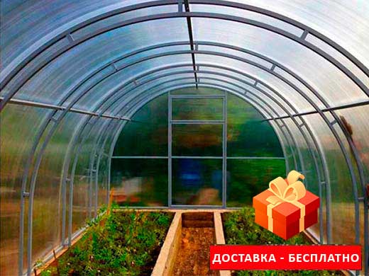 Купить теплицу из поликарбоната в Беларуси с бесплатной доставкой недорого, рассрочка